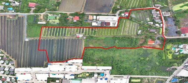 ขายที่ดิน 23 ไร่ อนาคตดีใกล้ตัดใหม่กัลปพฤกษ์-กระทุ่มแบน พุทธสาครและเศรษฐกิจ ในราคาที่จับต้องได้ - KK1946S รูปที่ 3