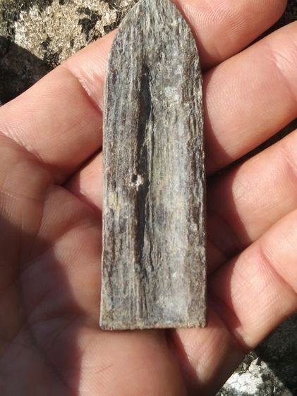 พระร่วงหลังรางปืนวัดพระศรีรัตนมหาธาตุเนื้อสนิมแดง รูปที่ 2