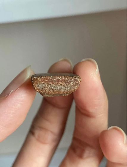 พระซุ้มไข่ปลา จ.อยุธยา รูปที่ 6