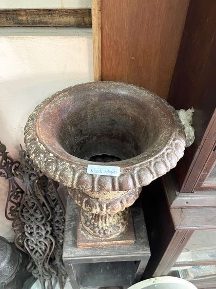 กระถางหลุยส์ เหล็กหล่อ ใบใหญ่จัมโบ้ รูปที่ 7