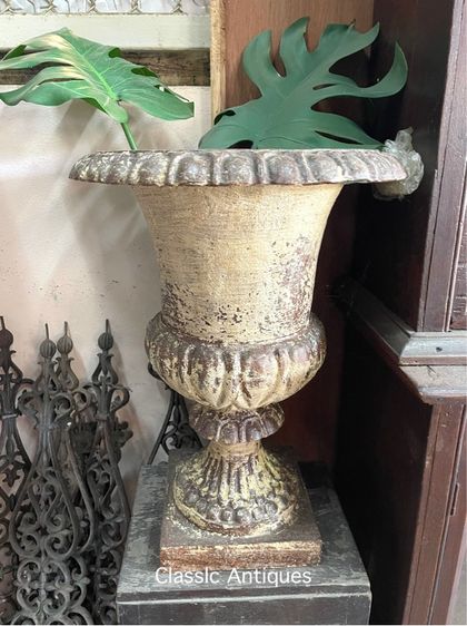 กระถางหลุยส์ เหล็กหล่อ ใบใหญ่จัมโบ้ รูปที่ 4