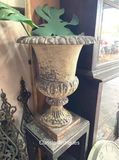 กระถางหลุยส์ เหล็กหล่อ ใบใหญ่จัมโบ้ รูปที่ 2