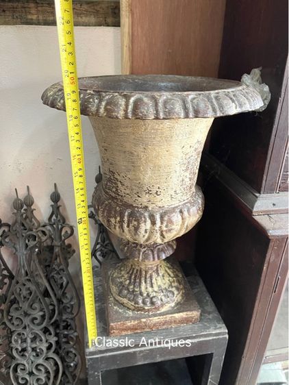 กระถางหลุยส์ เหล็กหล่อ ใบใหญ่จัมโบ้ รูปที่ 10