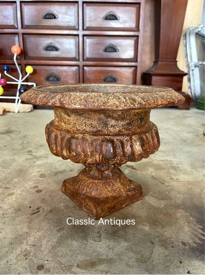 กระถาง หลุยส์เหล็กหล่อ ใบกลาง สะสม