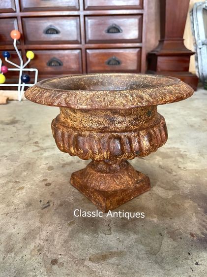 กระถาง หลุยส์เหล็กหล่อ ใบกลาง สะสม รูปที่ 5