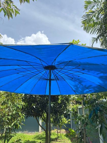 ขายร่มแม่ค้า รูปที่ 3