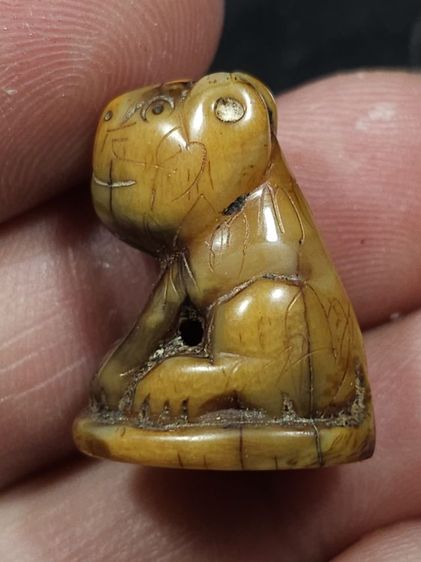 ⛳️เสือหลวงพ่อปาน วัดบางเหี้ย รูปที่ 4