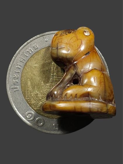 ⛳️เสือหลวงพ่อปาน วัดบางเหี้ย รูปที่ 8