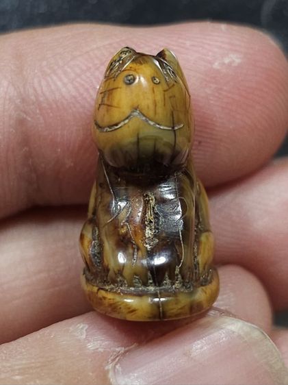 ⛳️เสือหลวงพ่อปาน วัดบางเหี้ย