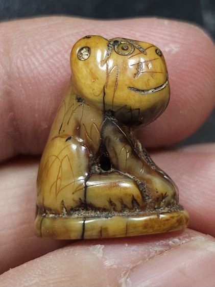 ⛳️เสือหลวงพ่อปาน วัดบางเหี้ย รูปที่ 3