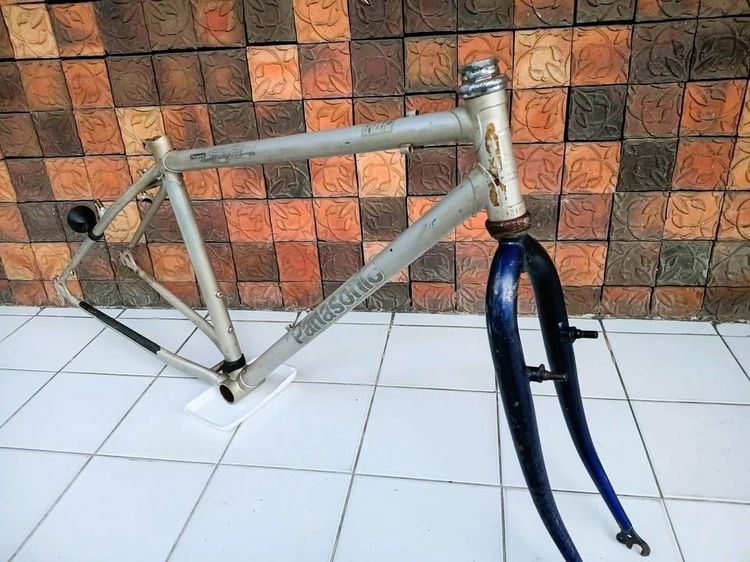 เฟรม  PANASONIC Springbok รูปที่ 6