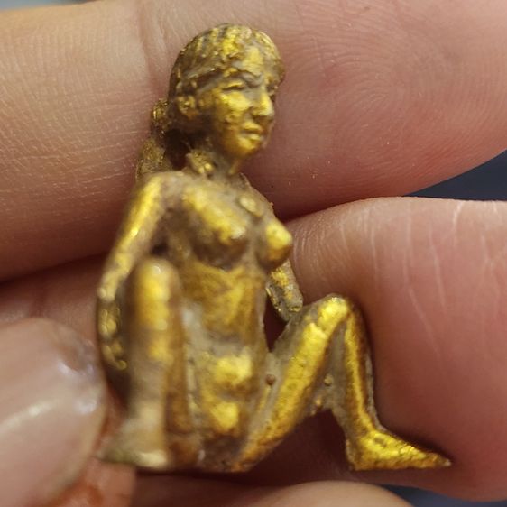 อีเป๋อเนื้อชินทอง กรุลําพูน ส่งฟรีทั่วไทย รูปที่ 5