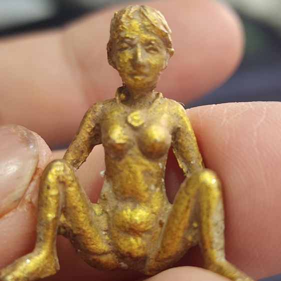 อีเป๋อเนื้อชินทอง กรุลําพูน ส่งฟรีทั่วไทย รูปที่ 6