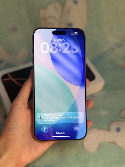 iPhone 16promax(256)