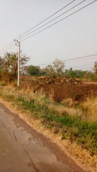 ที่ดินแปลงสวยติดถนน 4เลยเส้นโชคชัย-ครยุรีขนาดแปลงละ 82 ตารางวา 2 แปลงติดกันราคาแผงละ 600,000 บาทเอกสารโฉนดครุฑแดงราคาต่อรองได้เจ้าของขายเองครับ รูปที่ 2