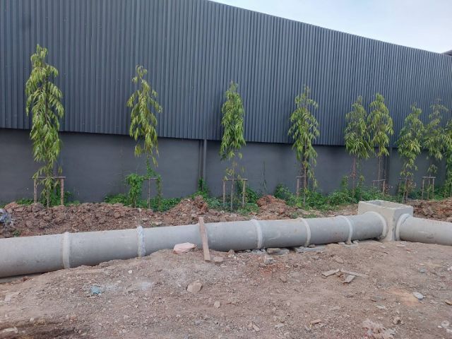 รับแต่งสวน รูปที่ 8