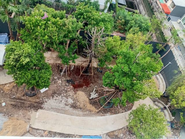 รับแต่งสวน