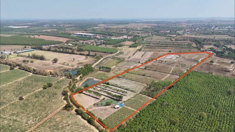 ที่ดินถูกปราจีนบุรี  ใกล้เทศบาลกรอกสมบูรณ์ (หลังสนามไดร์ฟกอล์ฟ 304)    ไร่ล่ะ 140 000 บาท  51 2 3 ไร่  ยกแปลง 7 2 ลบ รูปที่ 2