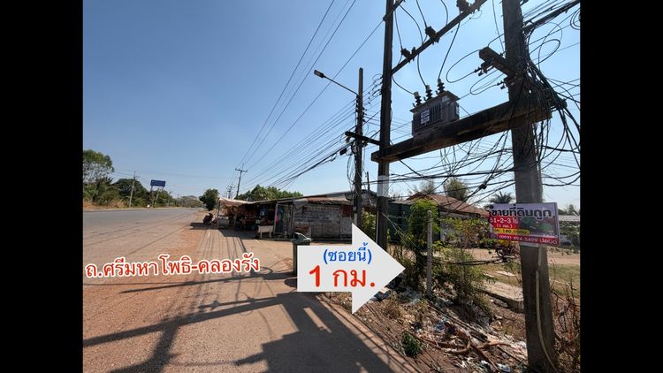 ที่ดินถูกปราจีนบุรี  ใกล้เทศบาลกรอกสมบูรณ์ (หลังสนามไดร์ฟกอล์ฟ 304)    ไร่ล่ะ 140 000 บาท  51 2 3 ไร่  ยกแปลง 7 2 ลบ รูปที่ 3