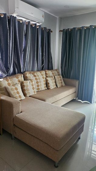 ซาฝาใหญ่ รูปที่ 2