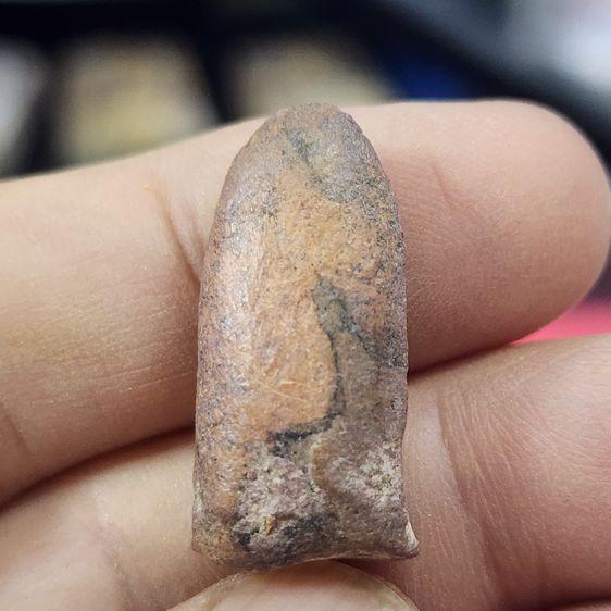 พระรอดเนื้อดิน กรุลำพูน รูปที่ 5