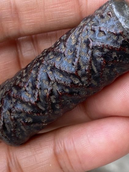 ตะกรุดยาว2นิ้วหลวงพ่อเงินบังคลาน รูปที่ 9