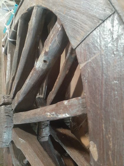 ไม้เก่า  รูปที่ 9