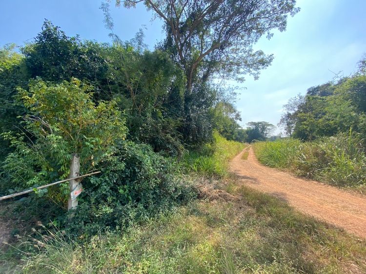 ไม่ใช่ ที่ดินเปล่า 2 ไร่ 45 ตารางวา รูปที่ 2