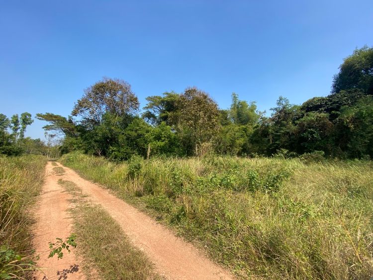 ไม่ใช่ ที่ดินเปล่า 2 ไร่ 45 ตารางวา รูปที่ 4