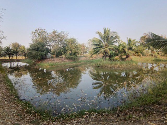 ใช่ บ้านสวน นครราชสีมา รูปที่ 2