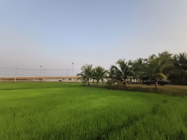 ที่ดิน ติดถนน4เลน นครราชสีมา รูปที่ 2