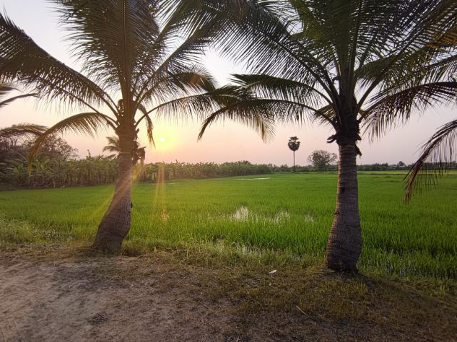 ที่ดิน ติดถนน4เลน นครราชสีมา รูปที่ 4