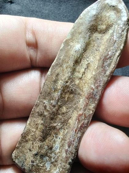 พระร่วงยืนเนื้อตะกั่วสนิมแดงครับ รูปที่ 12