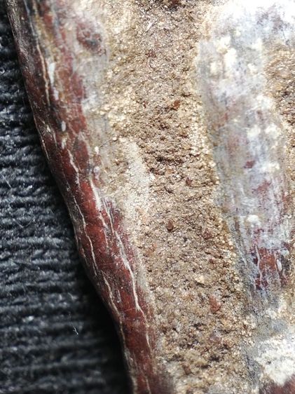 พระร่วงยืนเนื้อตะกั่วสนิมแดงครับ รูปที่ 10