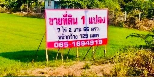 ขายที่ดินติดถนนสายเอเชียตำบลหาดอาษา อำเภอ สรรพยา จังหวัดชัยนาท ติดถนน 129 เมตร รูปที่ 2
