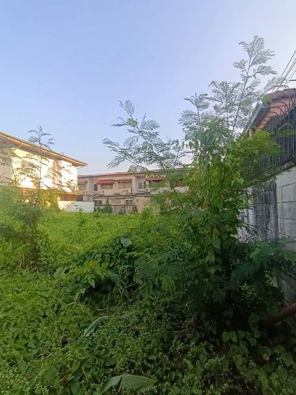 ไม่ใช่ ที่ดินถมแล้ว 96 ตร.วา รูปที่ 3