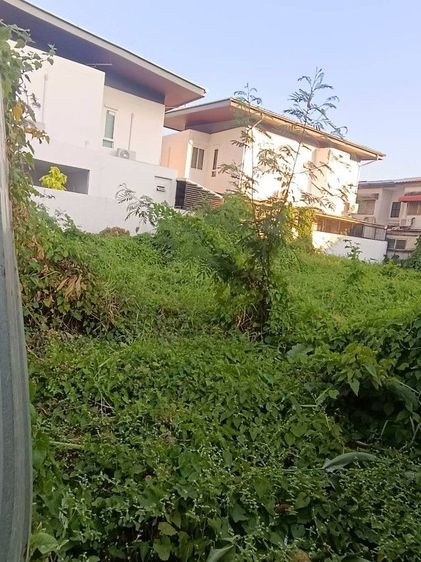 ไม่ใช่ ที่ดินถมแล้ว 96 ตร.วา รูปที่ 2