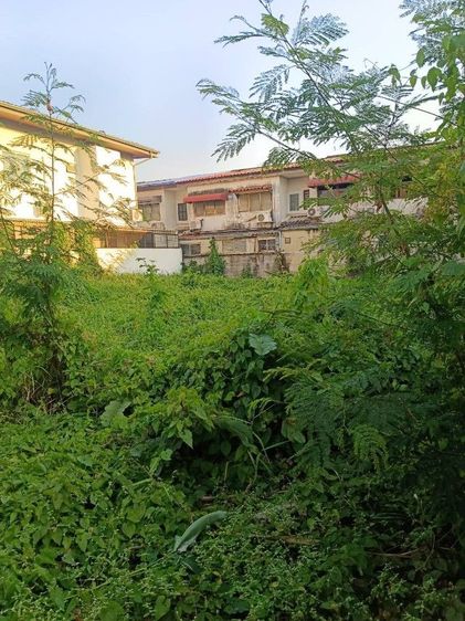 ที่ดินถมแล้ว 96 ตร.วา