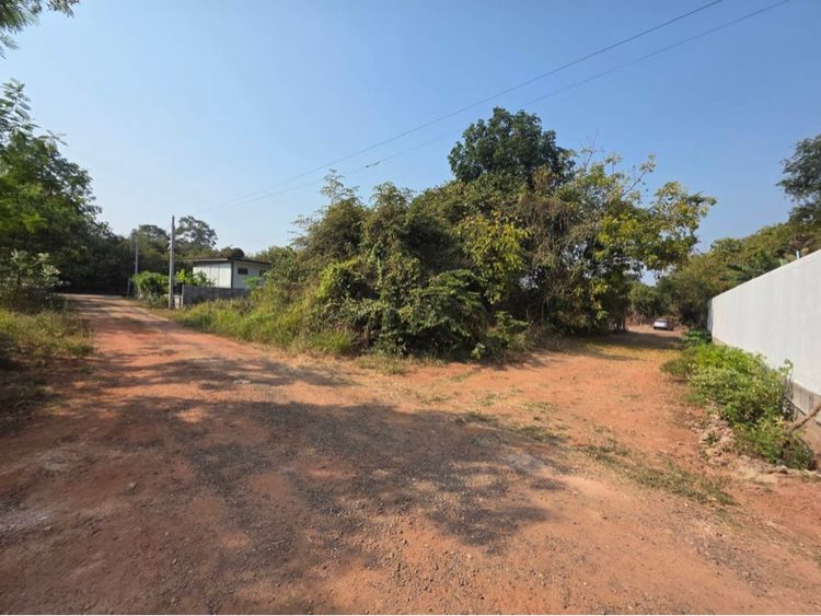 ที่ดินขายด่วน รูปที่ 2