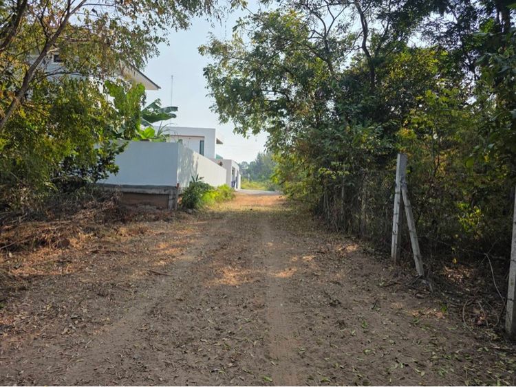 ที่ดินขายด่วน