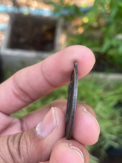 เหรียญ หลวงพ่อแดง รูปที่ 3