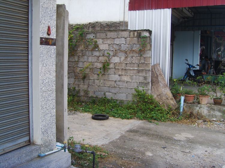 💎 ทำเลทอง ขาย-เช่า ที่ดินบึงสามพัน ติดแหล่งชุมชน ใกล้ตลาดเกษม (สมอทอด) รูปที่ 2