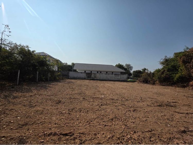 ที่ดินขายด่วน รูปที่ 3