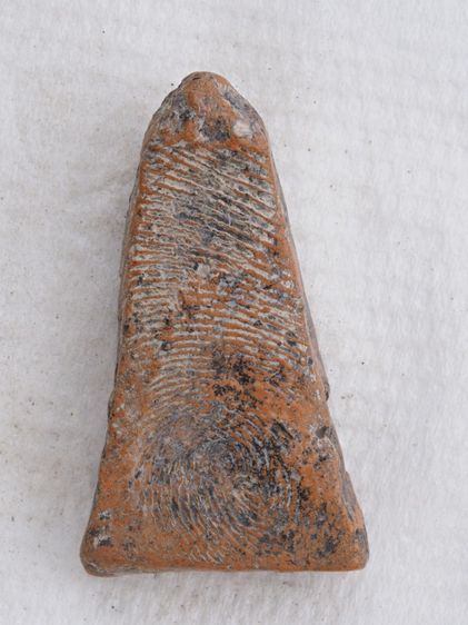 พระผงสุพรรณ 10116810 รูปที่ 2