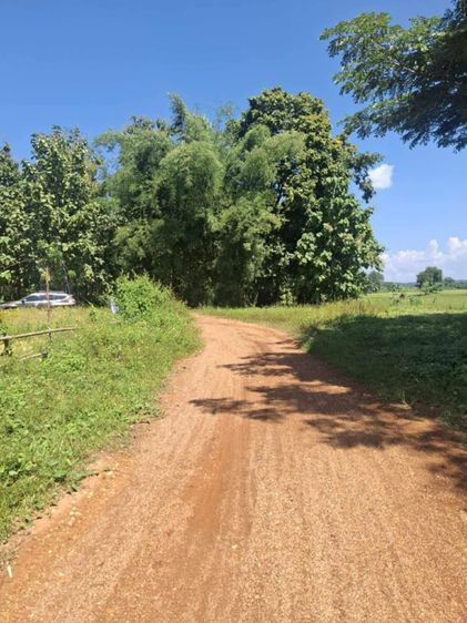 ที่ดินน่าน 4 ไร่ 1 งาน 69 ตารางวา อ.เมือง จ.น่าน รูปที่ 2