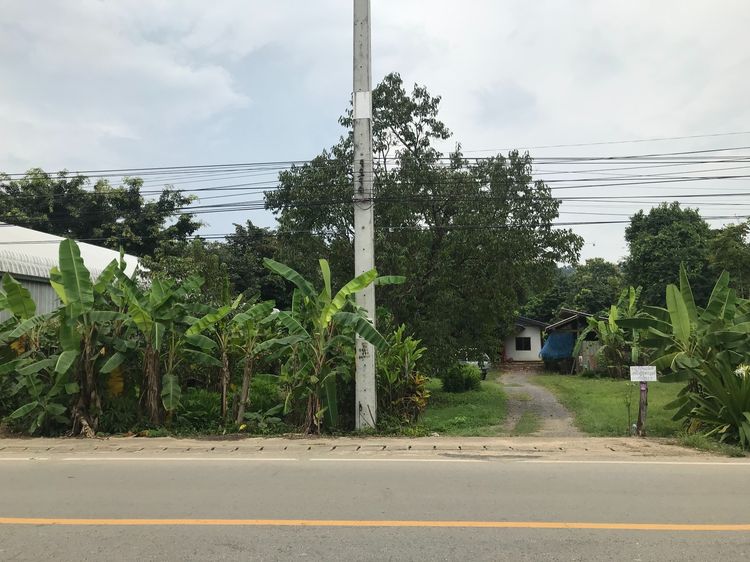 ขายที่ดิน แปลงใหญ่ ติดถนน 1095 แม่เเตง สปเปิง รูปที่ 2