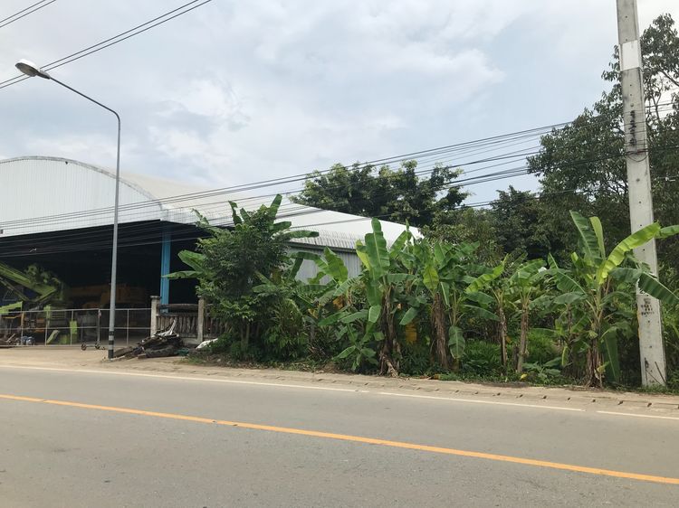ขายที่ดิน แปลงใหญ่ ติดถนน 1095 แม่เเตง สปเปิง