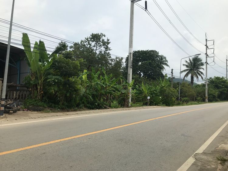 ขายที่ดิน แปลงใหญ่ ติดถนน 1095 แม่เเตง สปเปิง รูปที่ 4