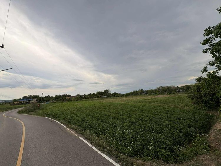 พื้นที่ 3 งาน 37 ตารางวา ทำเลดีใกล้แลนด์มาร์คเมืองปัว ราคา 1.7 ล้าน รูปที่ 3