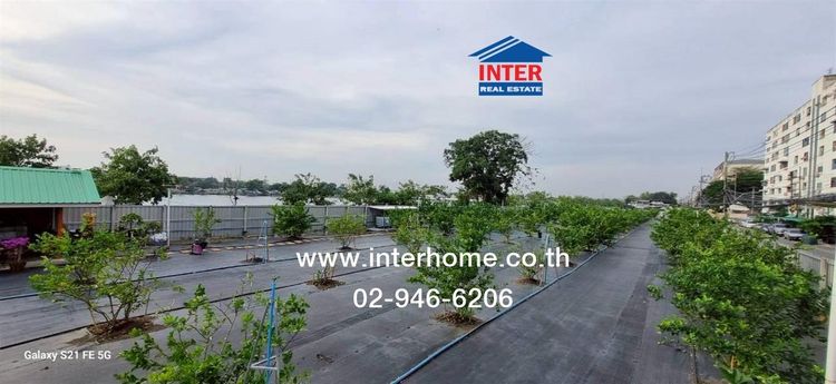 ที่ดินเปล่า 400 ตร.ว. ที่ดิน ซอยรังสิต-ปทุมธานี8 ที่ดินตรงข้ามโรงเรียนธัญวิทย์ ถนนพหลโยธิน ถนนรังสิต-ปทุมธานี8 ธัญบุรี ปทุมธานี